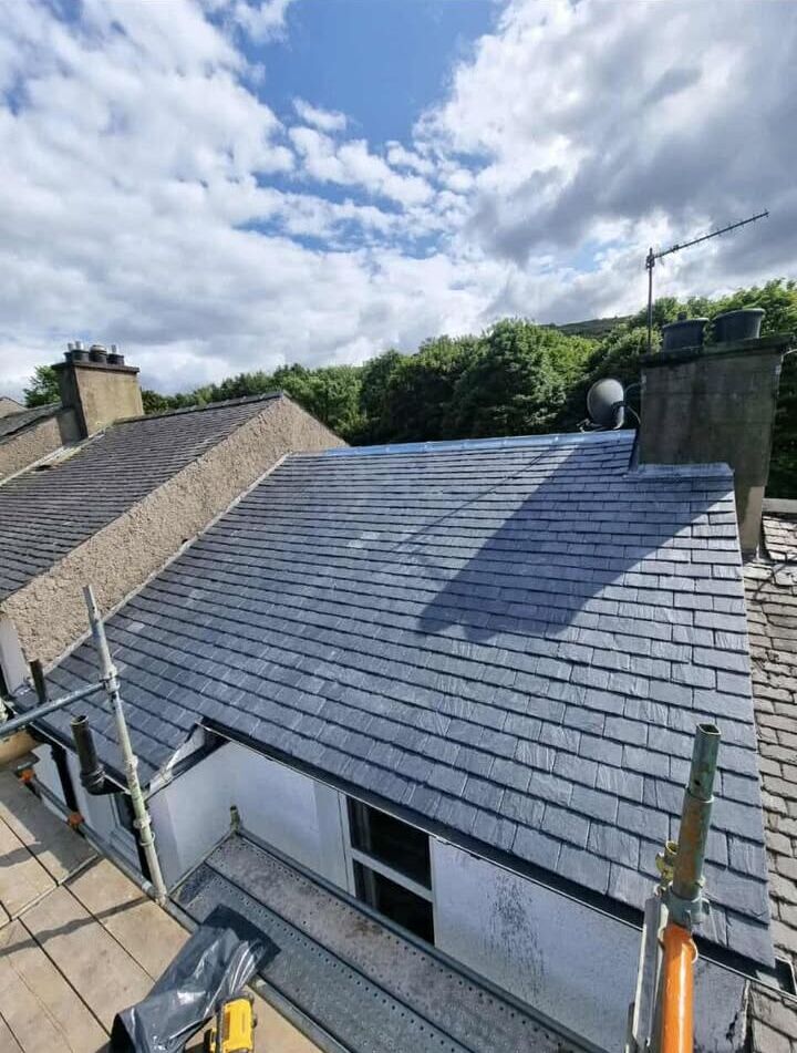 image-882876061250337 (1)